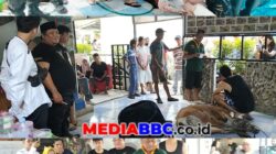 Dua Periode Peduli Rakyat, Herman Deru Kembali Salurkan Sapi Kurban untuk KARB di Idul Adha 1447 H