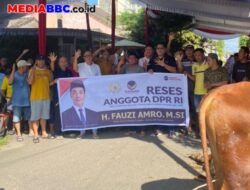 Fauzi Amro dan Firmansyah serta Ali Subri Berkurban 7 Ekor Sapi untuk Kader NasDem dan Masyarakat