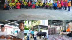 *PLN UID S2JB Tebar Kepedulian Lewat Qurban, Hadirkan Kebahagiaan untuk Masyarakat Sekitar dalam Momentum Idul Adha*