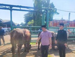 FUSI Tebar Kepedulian di Idul Adha 1447 H, Salurkan 3 Ekor Sapi Kurban untuk Warga Membutuhkan