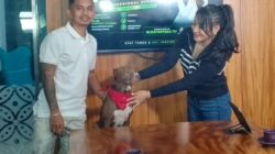 Shine Clinton Ungkap Dedikasi Selamatkan Ratusan Anjing di Podcast Profesional Sukses
