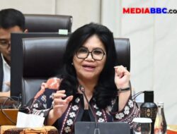 Ekspor Satu Pintu Berisiko Tak Ubah Struktur Ekonomi, Evita Minta Desain Hilirisasi Diperjelas