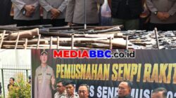 Didukung Partisipasi Masyarakat, Polda Sumsel Musnahkan Ratusan Senpi Ilegal Hasil Operasi Senpi Musi 2026