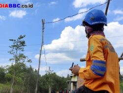 Pasokan Listrik Tetap Andal Tanpa Padam, PLN Inspeksi SUTET 275 kV dengan Drone Termal