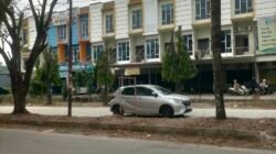 Pertanyakan Adanya Dugaan Pungli Penebangan Pohon : Dinas Perkimtan Palembang Bungkam !
