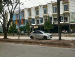 Pertanyakan Adanya Dugaan Pungli Penebangan Pohon : Dinas Perkimtan Palembang Bungkam !