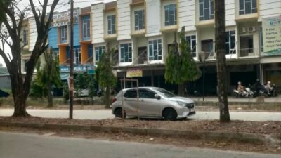 Pertanyakan Adanya Dugaan Pungli Penebangan Pohon : Dinas Perkimtan Palembang Bungkam !