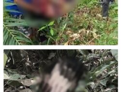 Geger Penemuan Mayat Tanpa Kepala di Perkebunan Sawit Muba