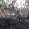 Respons Cepat Karhutla, Polsek Banyuasin III Jinakkan Api di Kebun Karet Warga Seterio