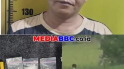 Mobil Pelaku Masuk Sawah, Satres Narkoba Polres OKU Timur Gagalkan Peredaran Narkotika