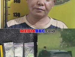 Mobil Pelaku Masuk Sawah, Satres Narkoba Polres OKU Timur Gagalkan Peredaran Narkotika