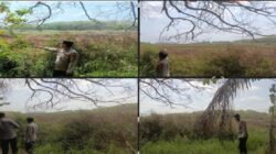 Hotspot Terdeteksi di Desa Bukit, Polsek Betung Lakukan Ground Check dan Tingkatkan Pencegahan Karhutla