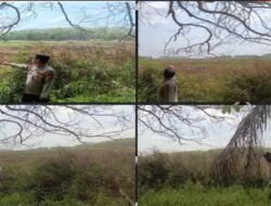 Hotspot Terdeteksi di Desa Bukit, Polsek Betung Lakukan Ground Check dan Tingkatkan Pencegahan Karhutla