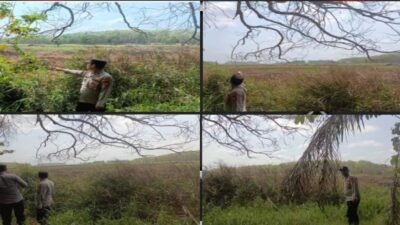 Hotspot Terdeteksi di Desa Bukit, Polsek Betung Lakukan Ground Check dan Tingkatkan Pencegahan Karhutla