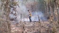 Kapolsek Rantau Bayur Bersama MPA Padamkan Karhutla dengan Alat Sederhana