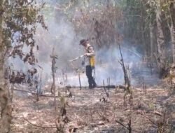 Kapolsek Rantau Bayur Bersama MPA Padamkan Karhutla dengan Alat Sederhana