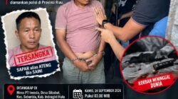 Buron 16 Bulan, Pelaku Penusukan Maut di Muba Ditangkap di Riau