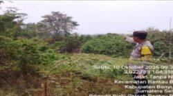 Polsek Rantau Bayur Lakukan Ground Check Hotspot, Kebakaran Lahan Sekitar 1 Hektare Ditemukan di Arisan Musi