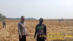 Polsek Tanjung Lago Polres Banyuasin Dorong Kemandirian Pangan Dari Tingkat Desa
