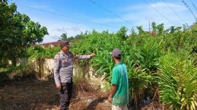 Dukung Swasembada Pangan Nasional, Bhabinkamtibmas Polsek Banyuasin III Aipda Fadely, Ajak Warga Kel Pangkalan Balai Kec. Banyuasin III Kembangkan Pekarangan Produktif
