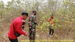 Patroli Terpadu di Desa Pulau Muning, Tim Gabungan Gencarkan Pencegahan Karhutla