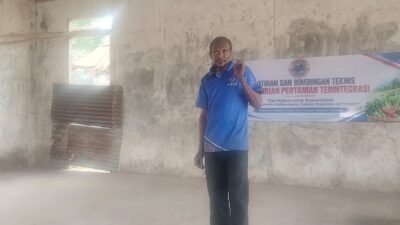 Kepala Kampung Wanam Ajak Masyarakat Bertani: Suami Kerja di Perusahaan, Istri Bisa Bangun Usaha Pertanian