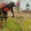 Perkuat Ketahanan Pangan Adat, MPSI Dampingi Petani di Kampung Wanam Merauke