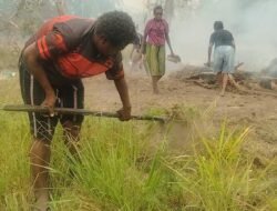 Perkuat Ketahanan Pangan Adat, MPSI Dampingi Petani di Kampung Wanam Merauke