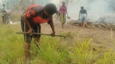 Perkuat Ketahanan Pangan Adat, MPSI Dampingi Petani di Kampung Wanam Merauke