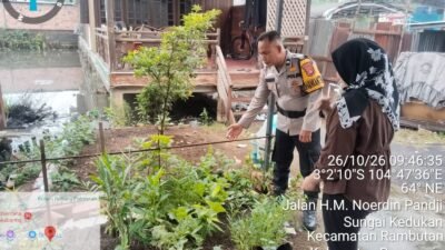 Dukung Swasembada Pangan Nasional, Bhabinkamtibmas Polsek Rambutan Aipda Zahrudin, Ajak Warga Kel. Jakabaring Selatan Kec. Rambutan Kembangkan Pekarangan Produktif