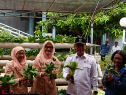 DWP BKN Launching Program Tanaman Hidroponik Dukung Program ASRI Presiden